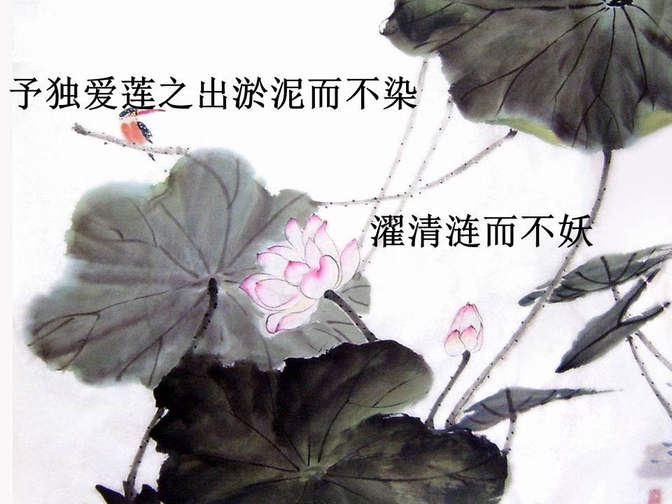 爱莲说中国风背景音乐莲花水墨风ppt模板